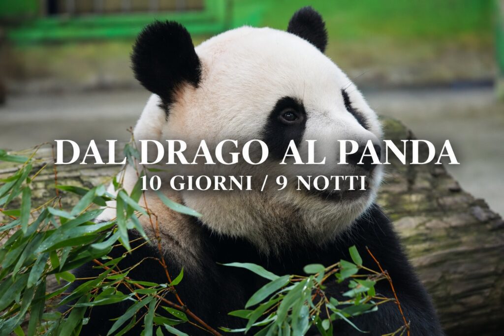 Dal Drago al Panda: tour di gruppo in Cina di 10 giorni – Pechino, Xi’an, Chengdu e Shanghai