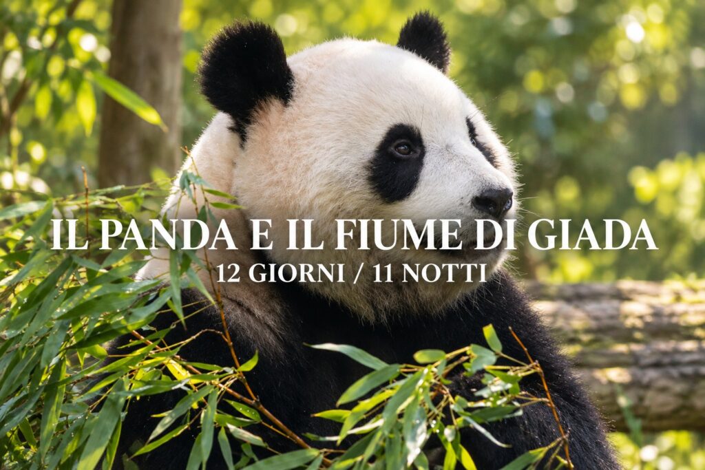 Il Panda e il Fiume di Giada: tour di gruppo in Cina di 12 giorni – Pechino, Xi’an, Chengdu, Guilin e Shanghai