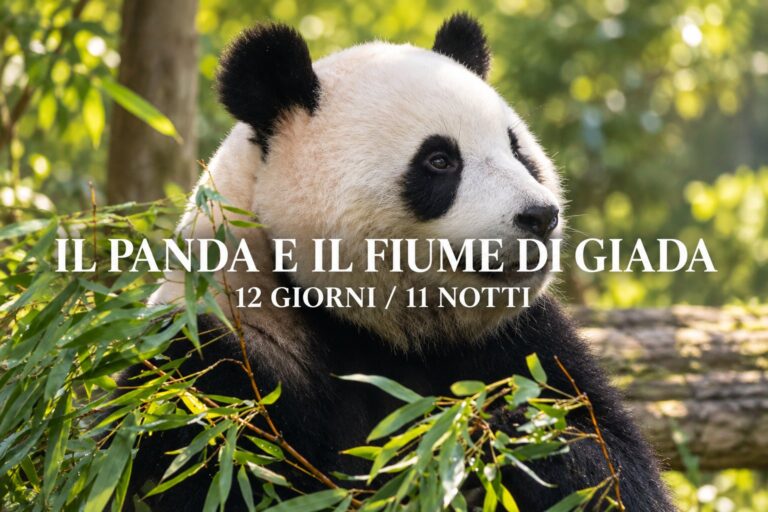 Il Panda e il Fiume di Giada: tour di gruppo in Cina di 12 giorni – Pechino, Xi’an, Chengdu, Guilin e Shanghai
