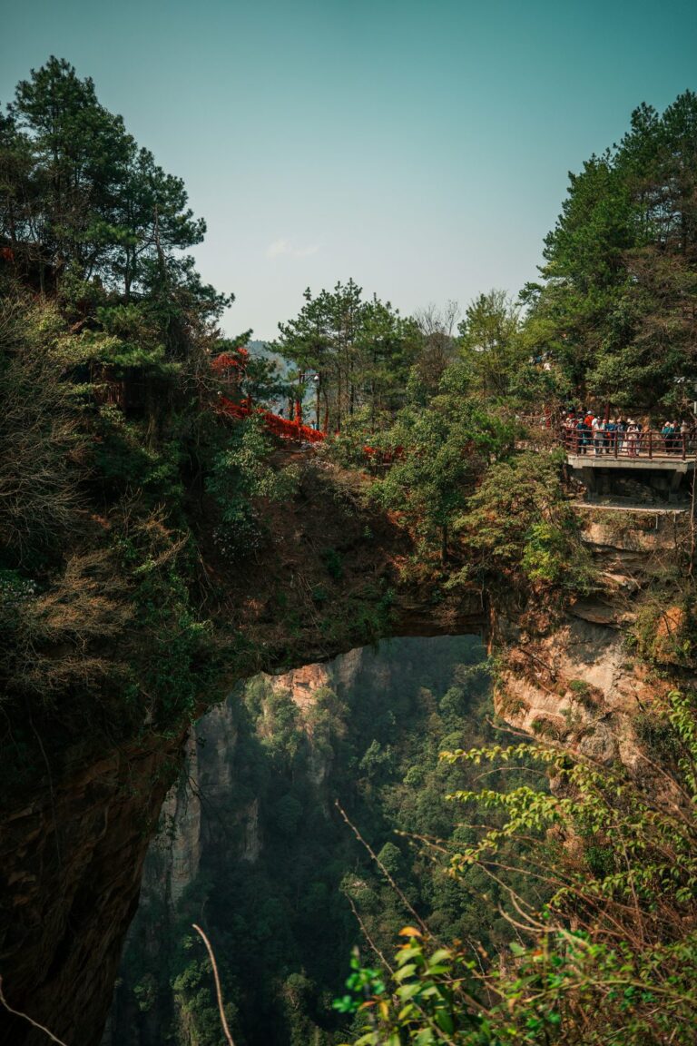 Formazioni rocciose e foresta nel Parco di Zhangjiajie Formazioni rocciose e foresta nel Parco di Zhangjiajie